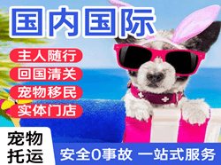 义乌机场货运国际宠物托运 【国